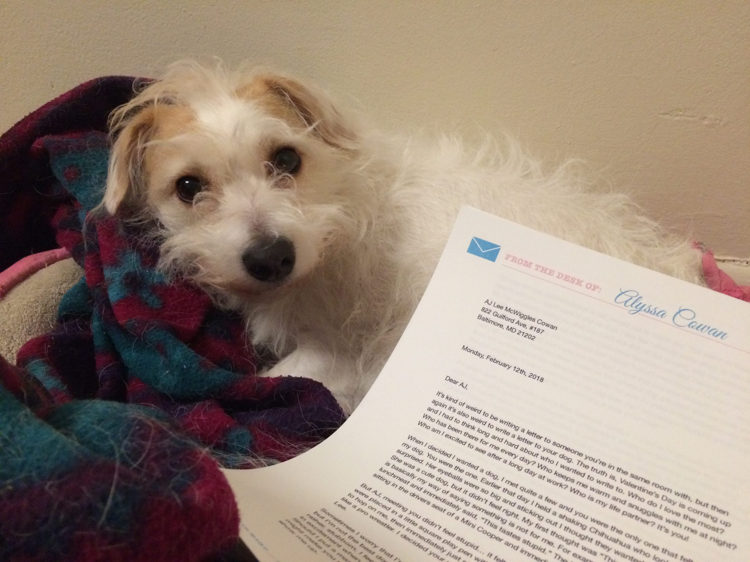 Mail Bag #6 – Valentine’s Day Special