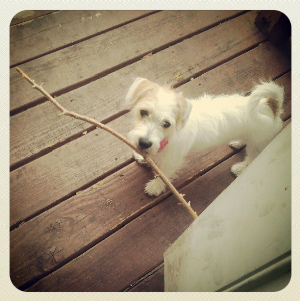 [Letter Talk] Mail Bag #20